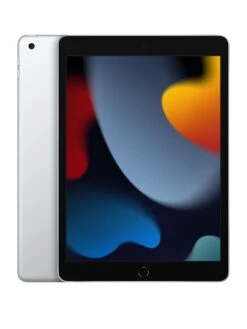 Apple IPad (9th Gen, 2021) 256Gb, Wi-Fi, 10.2-inch - Silver