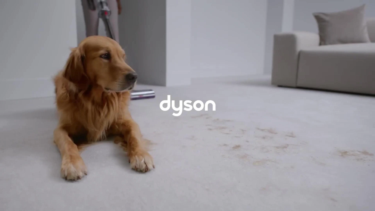 Dyson V15 Detect Absolute Vacuum Cleaner - Image 7