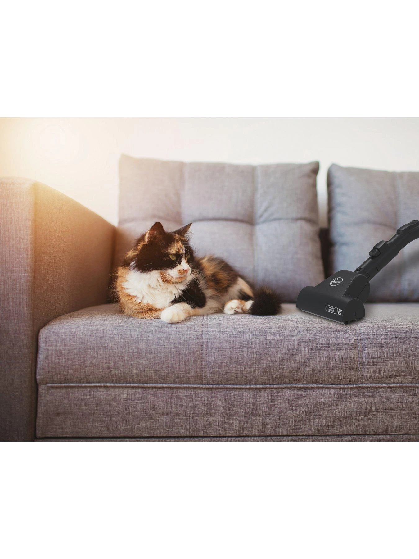 Hoover H-ENERGY 300 Pets Bagged Cylinder Vacuum Cleaner - Image 6