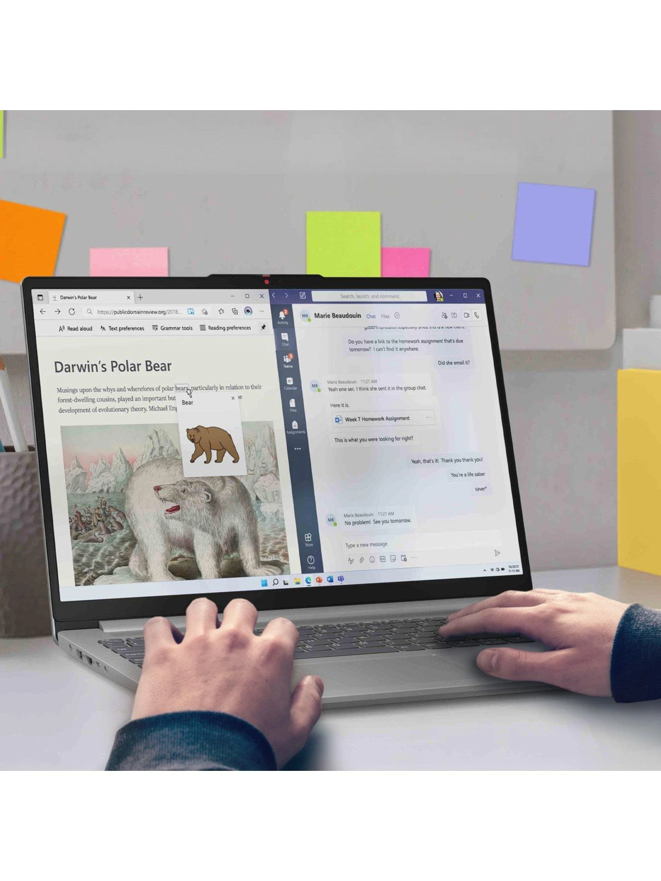 Lenovo IdeaPad Slim 3, AMD Ryzen 3, 8GB RAM, 256GB SSD, 16in Laptop - Grey - Image 5